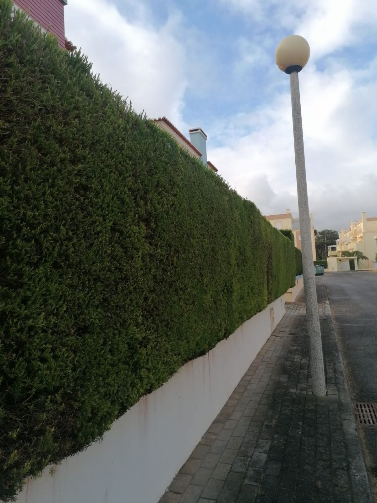 Jardim 3