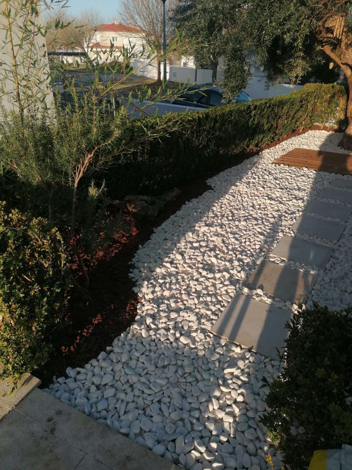 Jardim 4